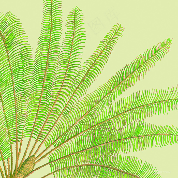 唯美绿叶高清油画