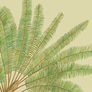 唯美绿叶高清油画