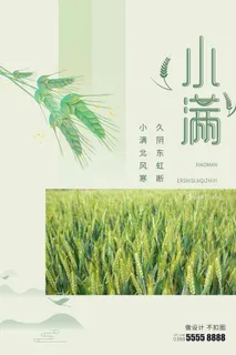 小满 小满促销海报