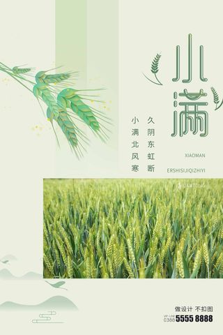 小满 小满促销海报