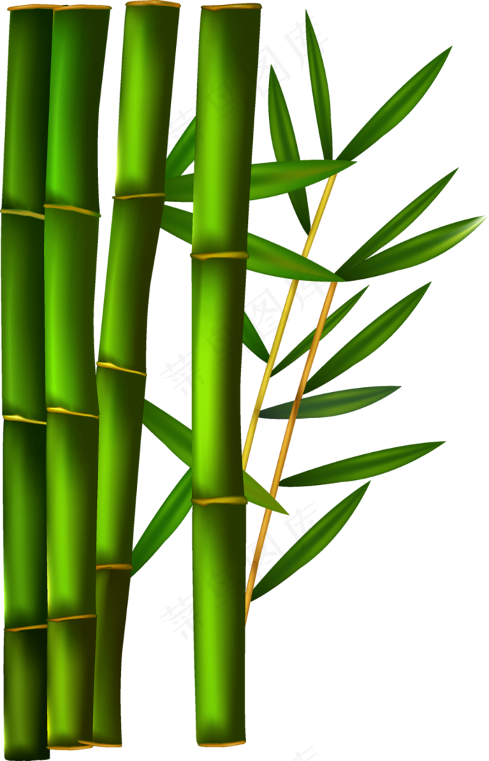 PNG 绿色竹子 