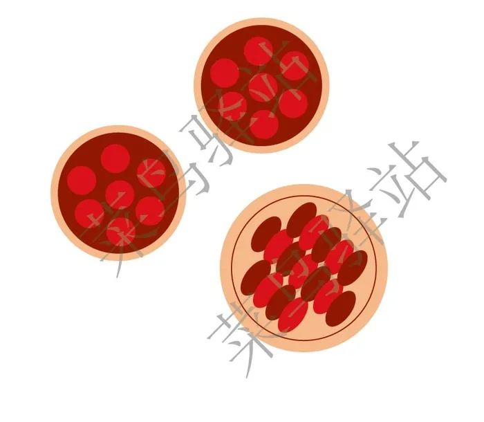 汤圆，点心矢量图ai矢量模版下载