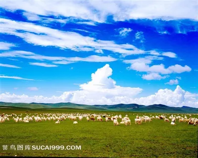草原牧羊风光摄影 草原牧羊风光摄影