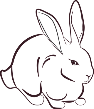 黑白线条小兔子卡通