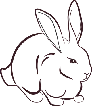 黑白线条小兔子卡通