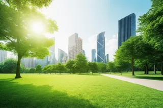 城市大厦公园绿植阳光摄影图