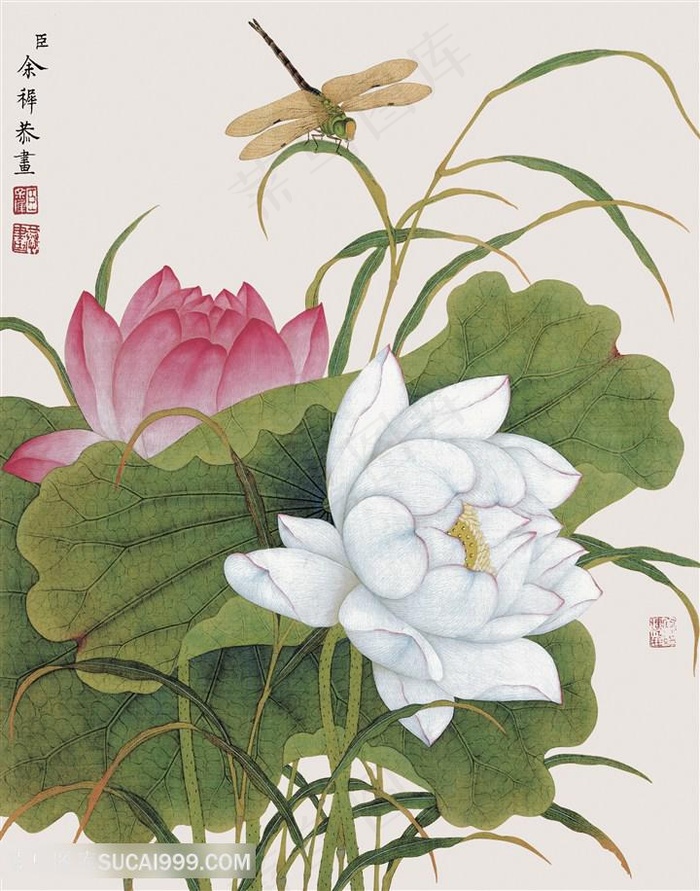 余挚 唯美莲花工笔画