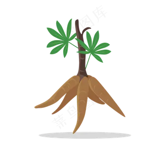 手绘草本中药药材