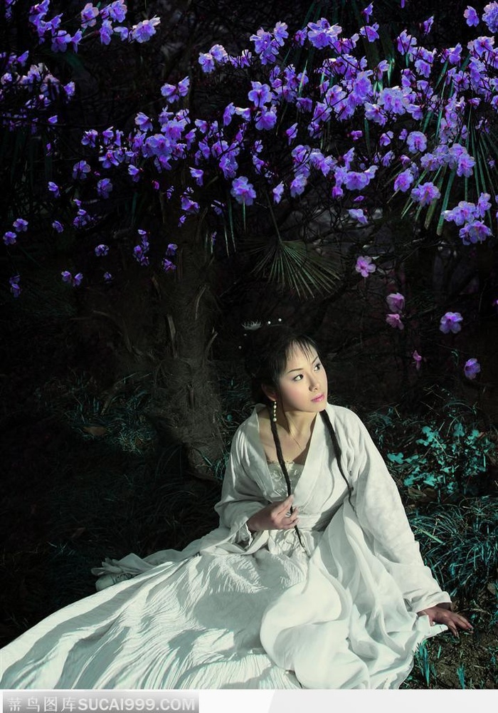 坐在梅花树下穿传统汉服的古典美女