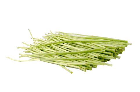 芦蒿超市商品白底图免抠实物摄影png格式图片透明底