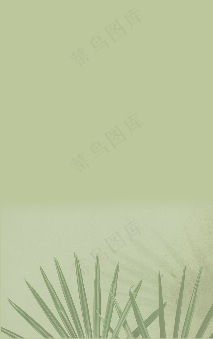 淡绿色叶子背景