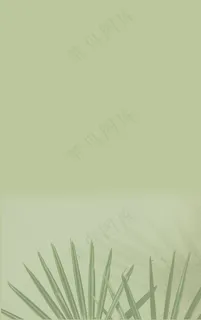 淡绿色叶子背景