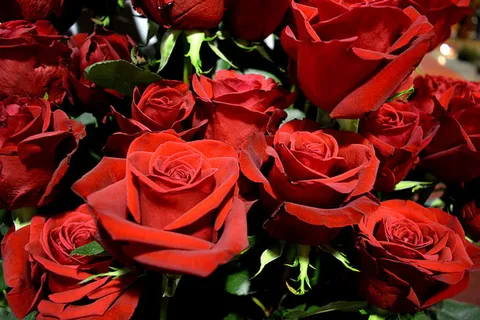 风景 天空素材 拍摄 (282)