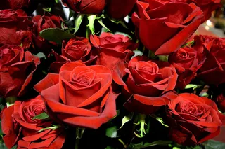 风景 天空素材 拍摄 (282)