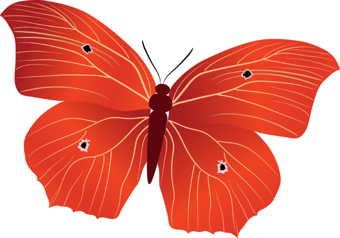 卡通动画动画蝴蝶免扣PNG手绘插画图片素材 (142)