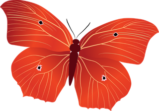 卡通动画动画蝴蝶免扣PNG手绘插画图片素材 (142)