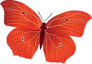 卡通动画动画蝴蝶免扣PNG手绘插画图片素材 (142)