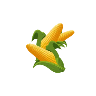 手绘卡通秋收玉米