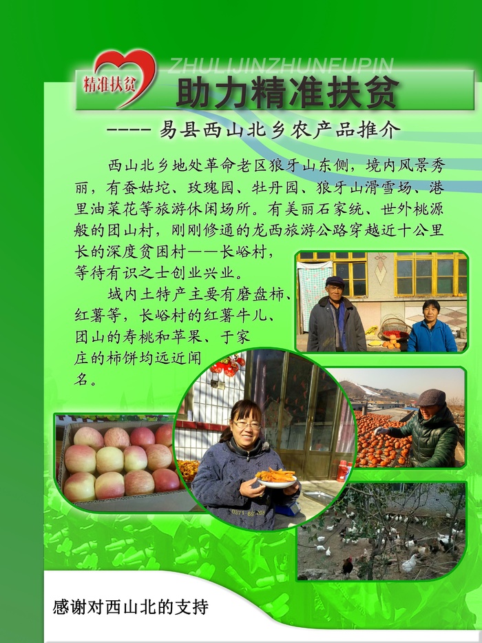 村产品宣传 农产品 精准扶贫 海报