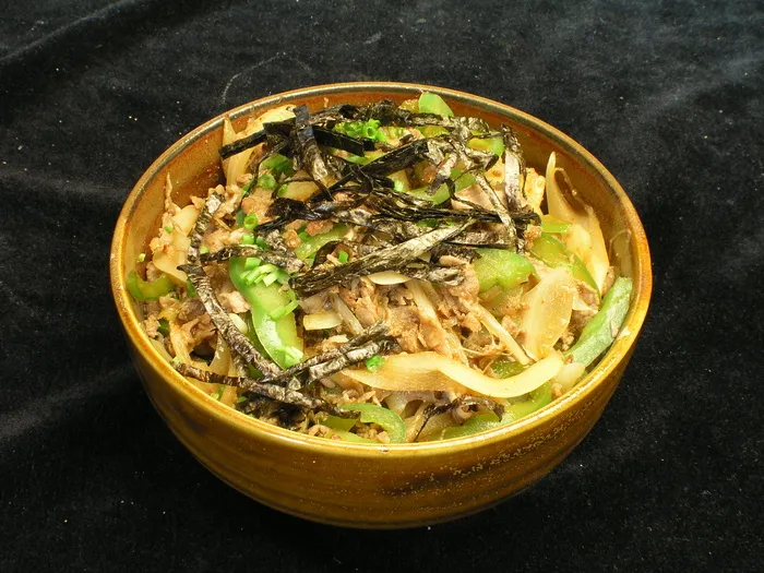 1301牛肉饭gh