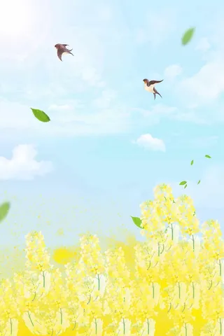 绿色背景 绿色展板背景