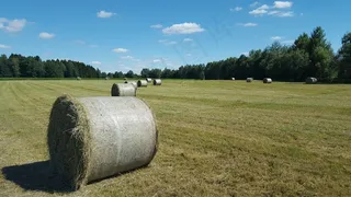 农业草地干草垛图片