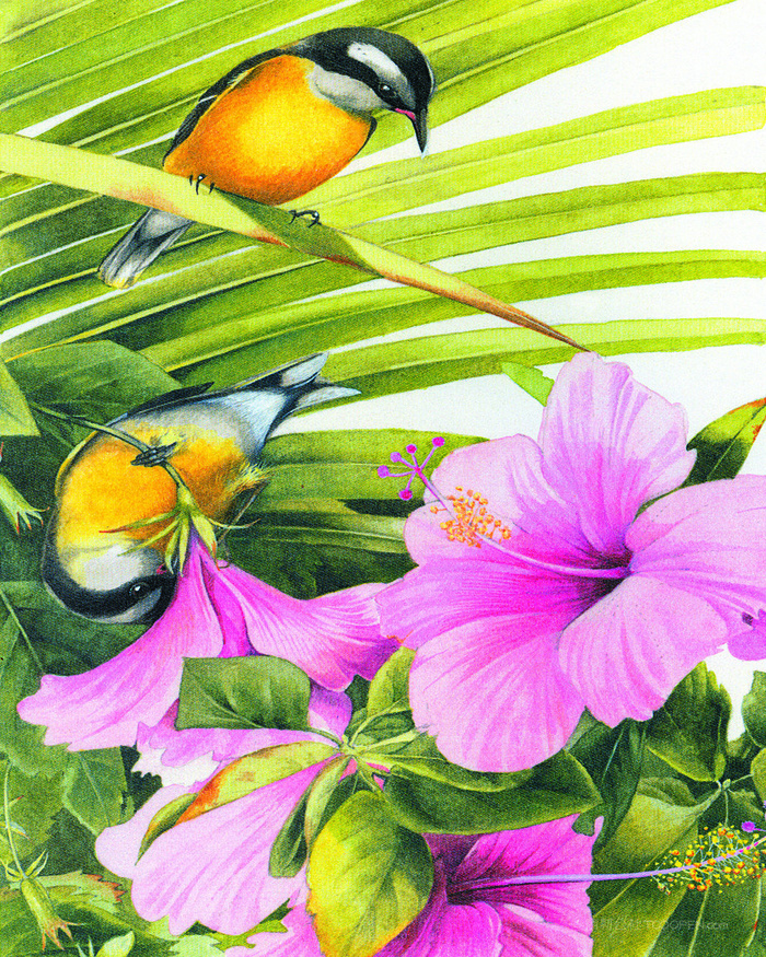 花鸟唯美风景画油画