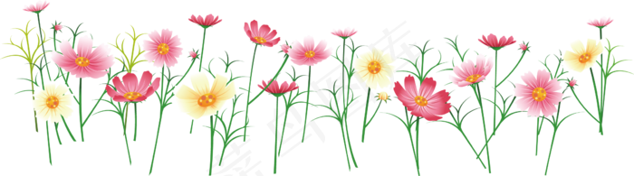 迷幻的花坪
