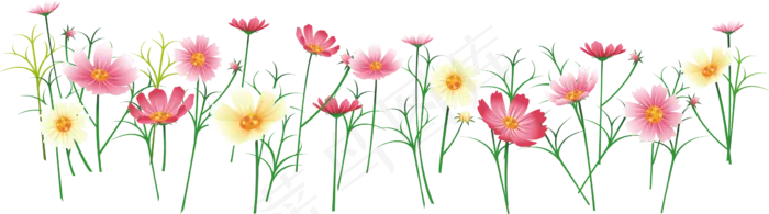 迷幻的花坪