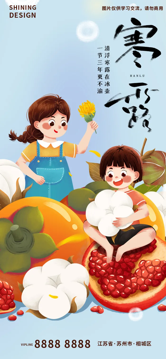 寒露木槿花石榴柿子手绘插画海报
