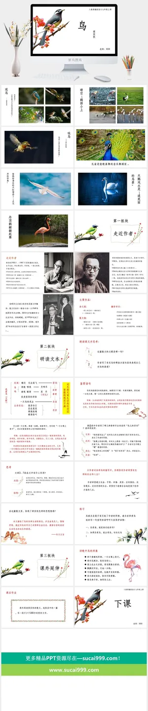 课件PPT模板动态教学教师说课公开课授课教育培训演示模板素材预览图