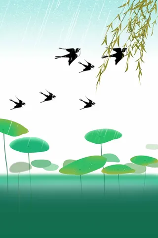 绿色背景 绿色背景素材