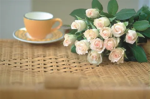 玫瑰花图片素材