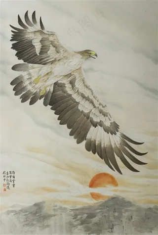 自有云霄万里高老鹰工笔画