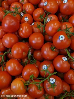 红彤彤的西红柿