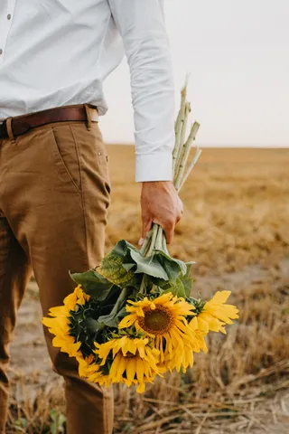 黄色向日葵摄影素材