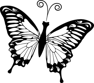 卡通动画动画蝴蝶免扣PNG手绘插画图片素材 (129)