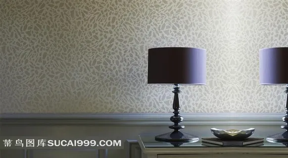 欧美室内效果图华美