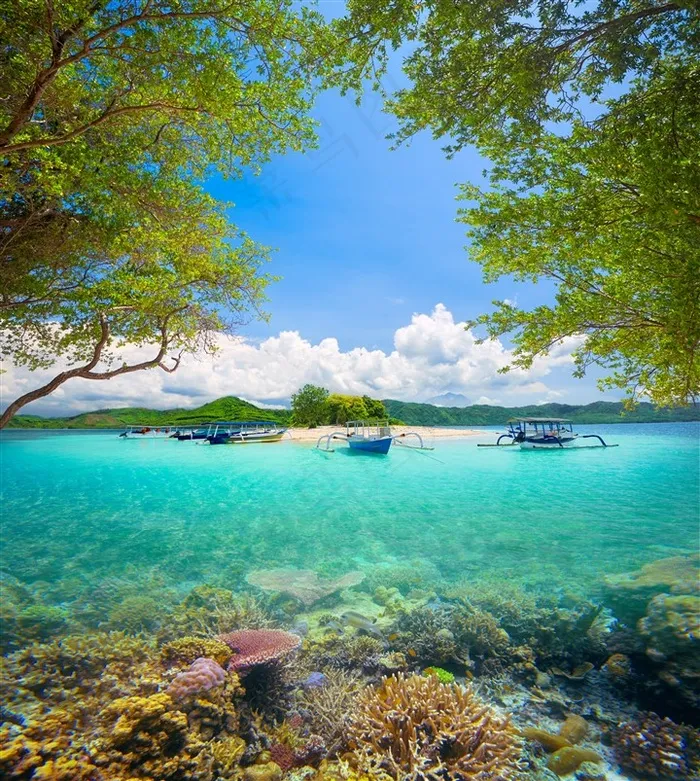美丽的大海景色