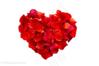 唯美爱心花瓣高清图片心型图片
