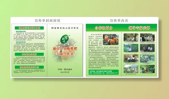 枇杷合作社宣传单