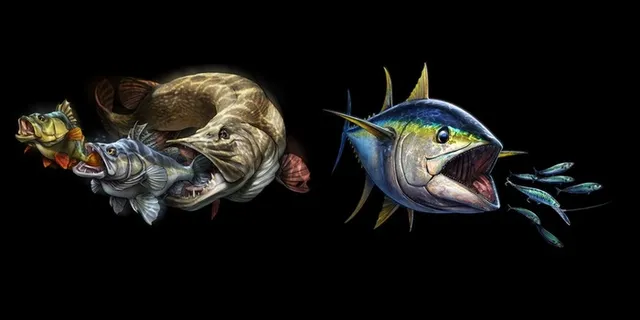 捕鱼捕食鱼插画手绘