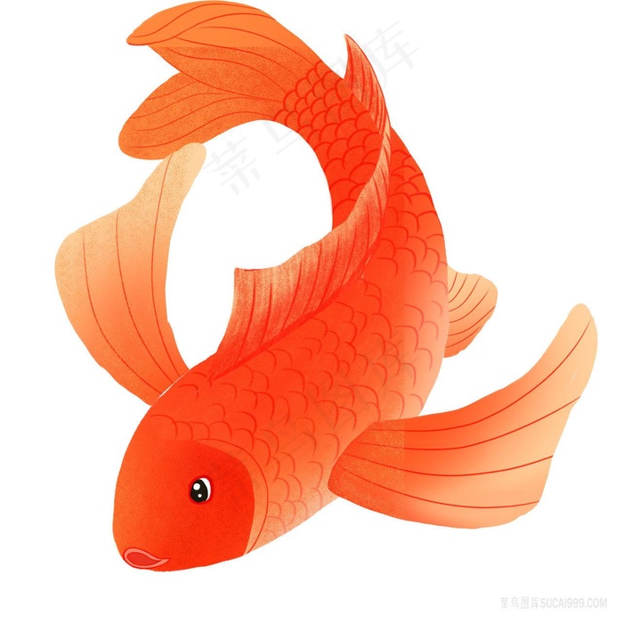 唯美工笔画锦鲤png插画图片