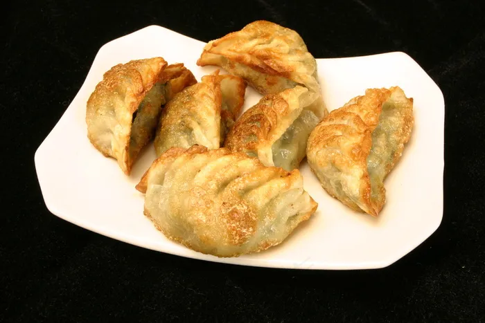 0456广东煎饺