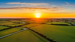 朝阳里的农田广袤无垠摄影图