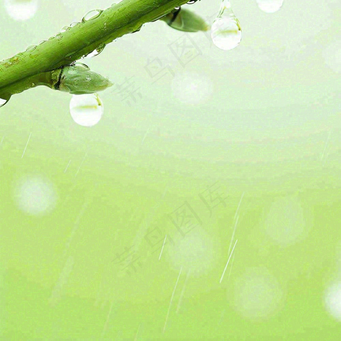 清新绿色春天绿芽叶子雨水露珠，春分谷雨摄影图(1024x1024)