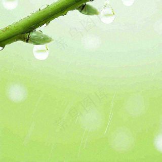 清新绿色春天绿芽叶子雨水露珠，春分谷雨摄影图