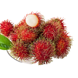 87红毛丹 (1)水果超市商品白底图免抠实物摄影png格式图片透明底