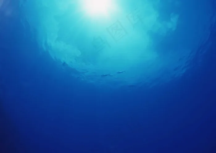 海底世界 96