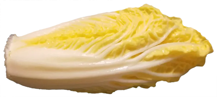 娃娃菜免抠摄影元素素材 